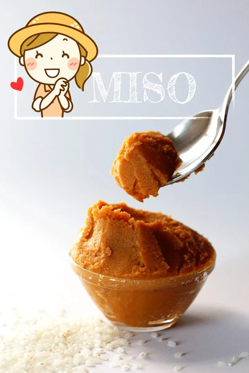 Miso Paste Titelbild
