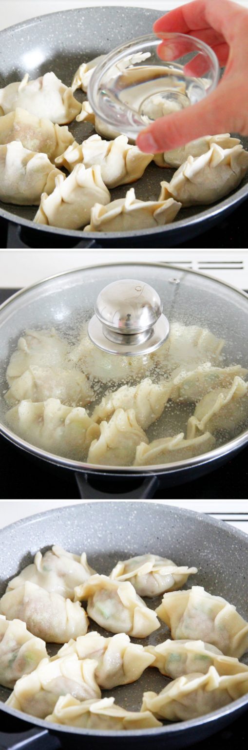 🥟 Gyoza jetzt japanische Teigtaschen selber machen!