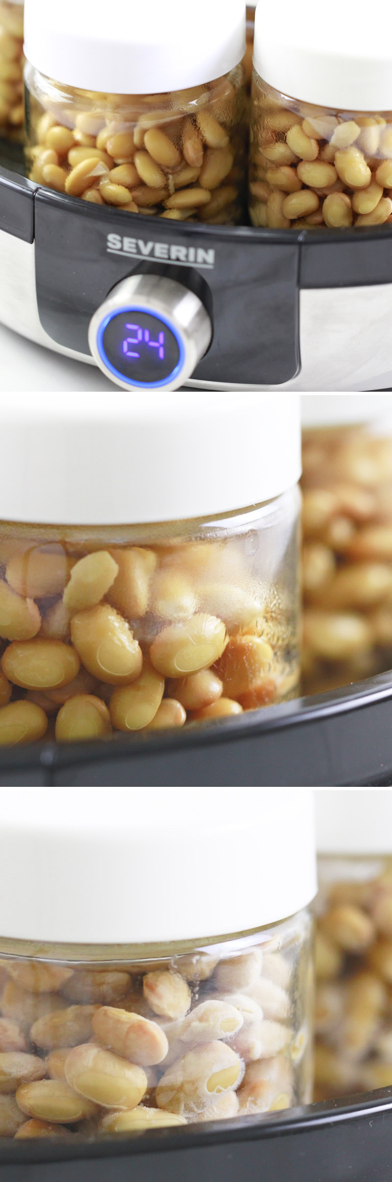 Making your own natto: passaggio 10 – Lasciare fermentare