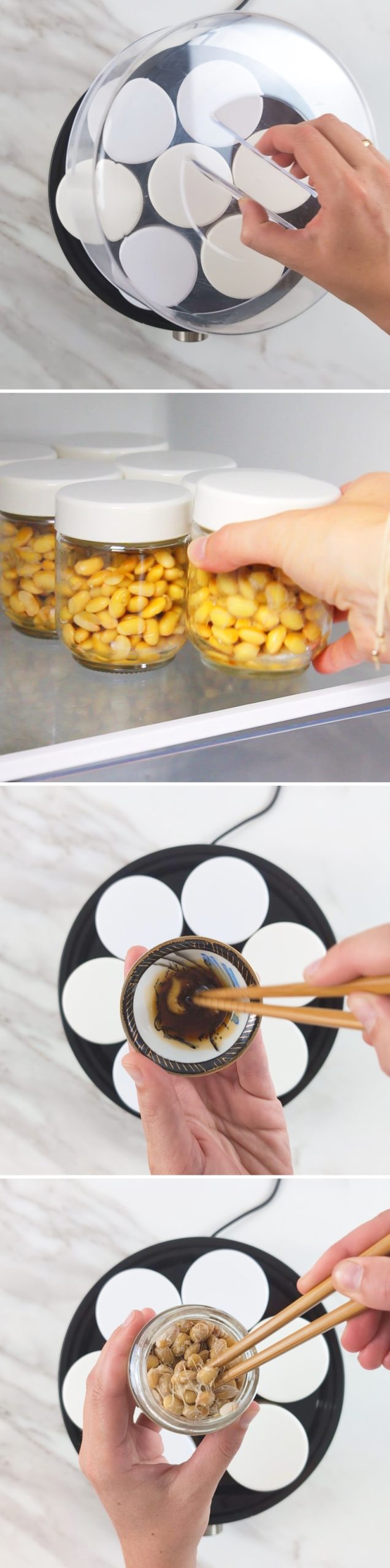 Making your own natto: step 11 – chill