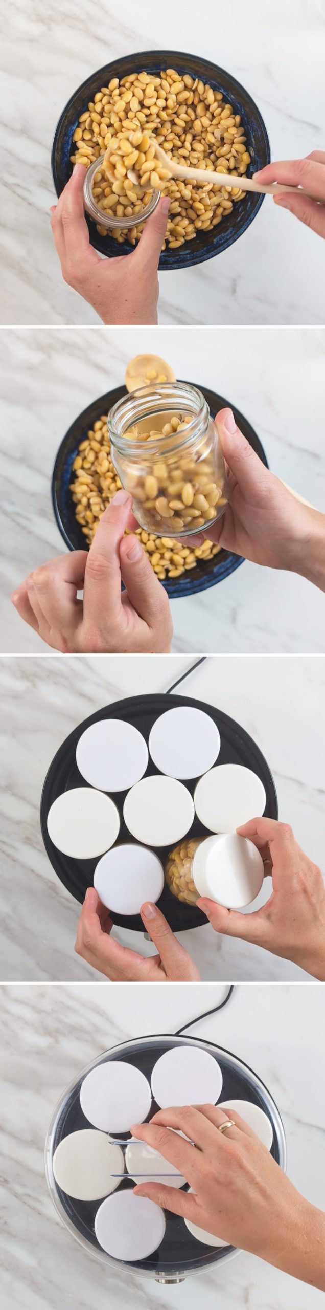 Making your own natto: passaggio 9 – Fermentare