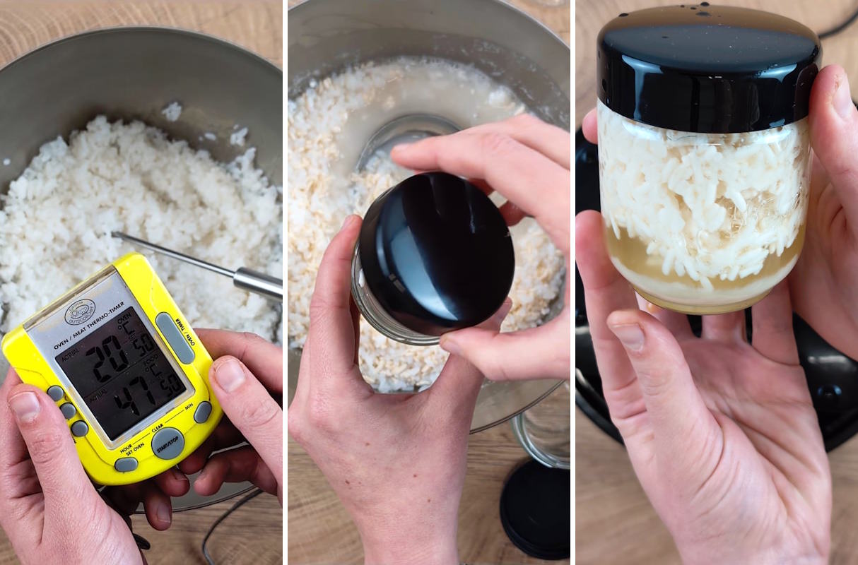 Ricetta per preparare l’amazake in casa